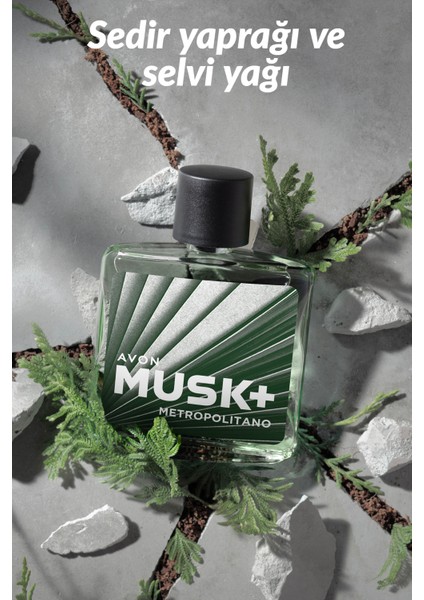 Musk Metropolitano Erkek Parfüm Edt 75 Ml. Üçlü Set