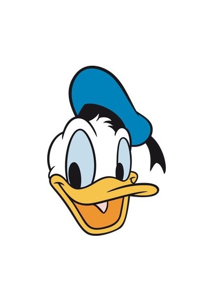 Sayılarla Boyama Seti Donald Duck 30X40 cm