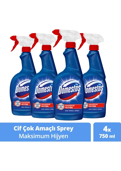 Hijyenik Temizlik Spreyi Çok Amaçlı 750 ML x4