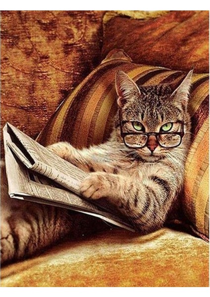 Keyfekeder Kedi Kasnaklı Sayılarla Boyama Seti