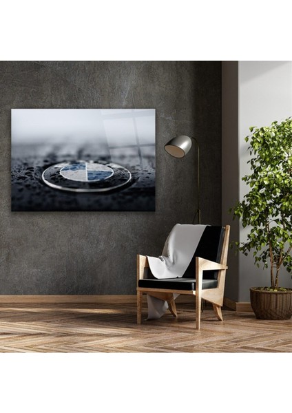Cam Tablo, Dekoratif Baskı Bmw Logo Yatay Cam Tablo fırsatları
