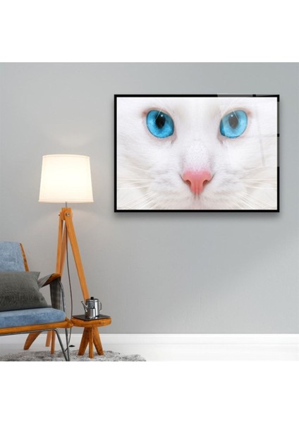 Cam Tablo, Dekoratif Baskı Mavi Gözlü Kedi Yatay Cam Tablo