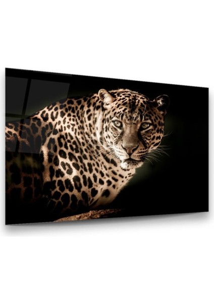 Cam Tablo, Dekoratif Baskı Leopar Yatay Cam Tablo