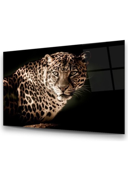 Cam Tablo, Dekoratif Baskı Leopar Yatay Cam Tablo