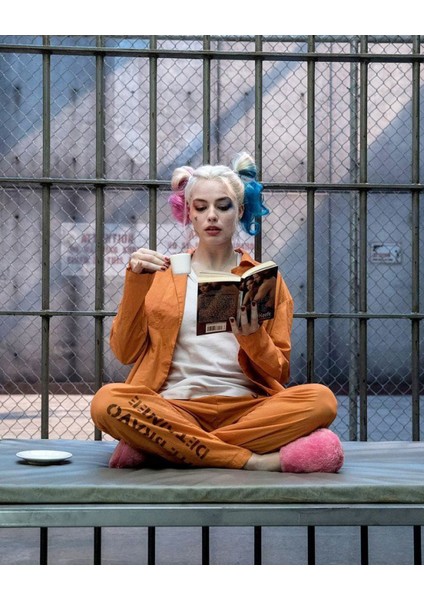 Harleyquinn'in Bir Günü Kasnaklı Sayılarla Boyama Seti