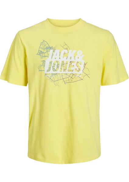 Jack & Jones Core Jcomap Pamuklu Bisiklet Yaka T Shirt Erkek T Shirt 12252376