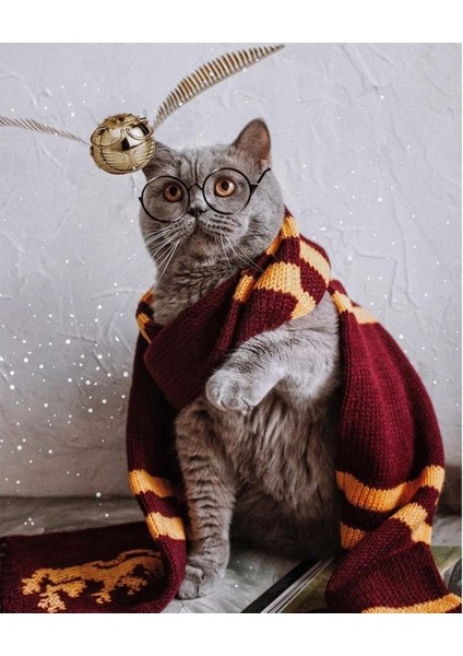 Atkılı Kedi Kasnaklı Sayılarla Boyama Seti
