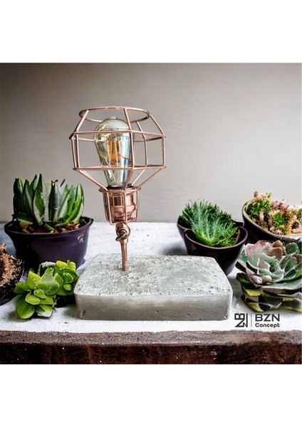 Tash Lampshade (AMPULSÜZ) fiyatları