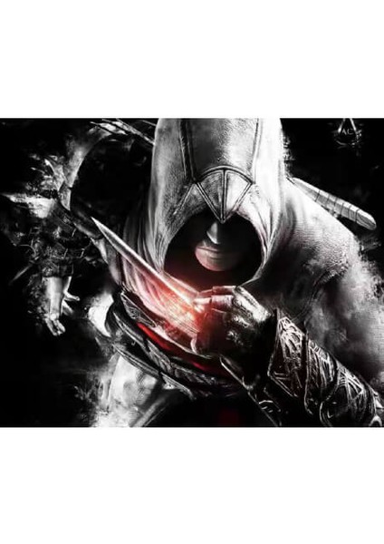 Assassin's Creed Kasnaklı Sayılarla Boyama Seti