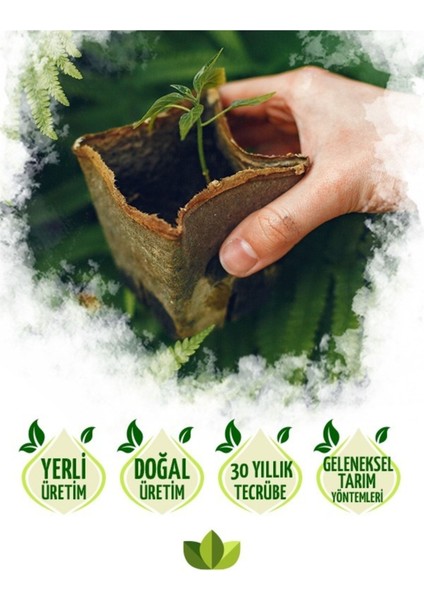 Buz Çiçeği Fidesi 10 Adet 5CM-15CM