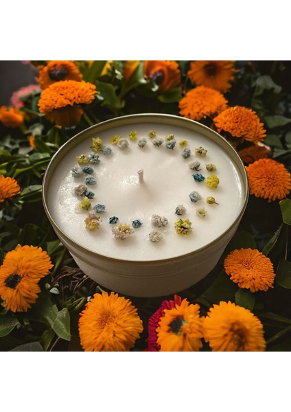 Soya Wax Kokulu Vegan Mumlar 180 cc