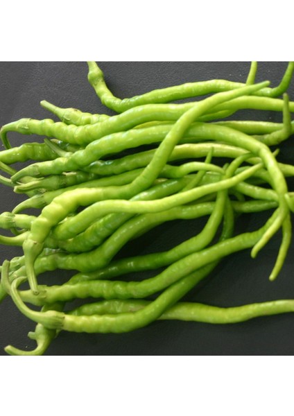 Kıl Acı Biber Fidesi 10 Lu Ambalaj (Ince Sivri Acı Biber) Kahvaltılık