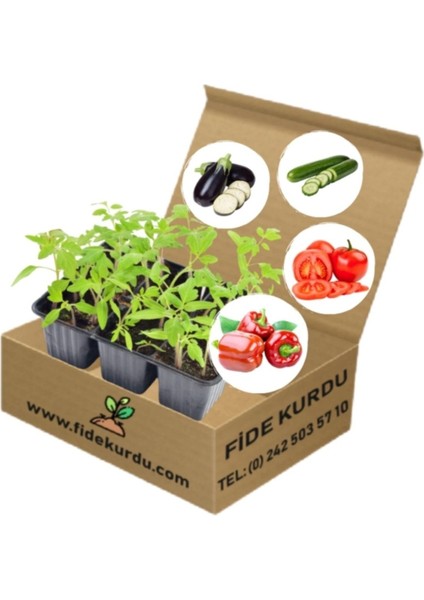 Sebze Fidesi Hobi Seti 50 Adet Bol Verimli