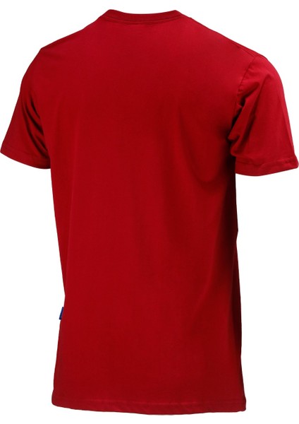 Erkek Bisiklet Yaka Standart Fit Bordo T-Shirt fırsatları