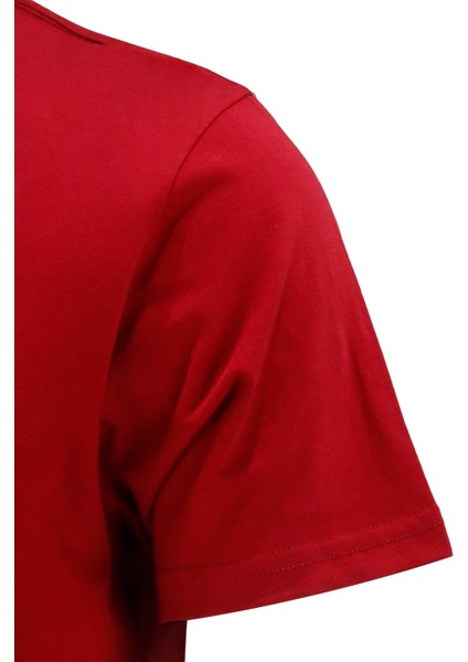 Erkek Bisiklet Yaka Standart Fit Bordo T-Shirt modelleri