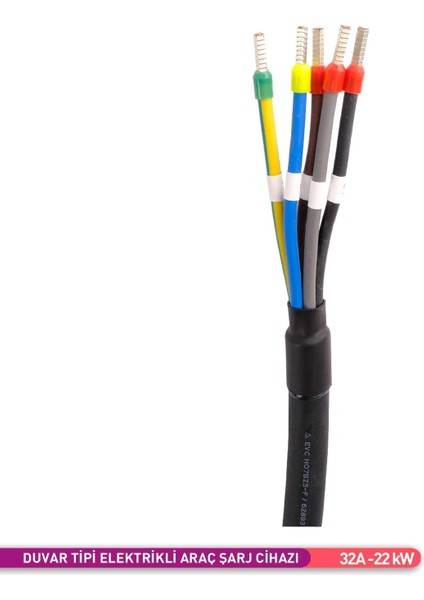 Duvar Tipi Elektrikli Araç Şarj Cihazı 32A 22 Kw AE02-02321