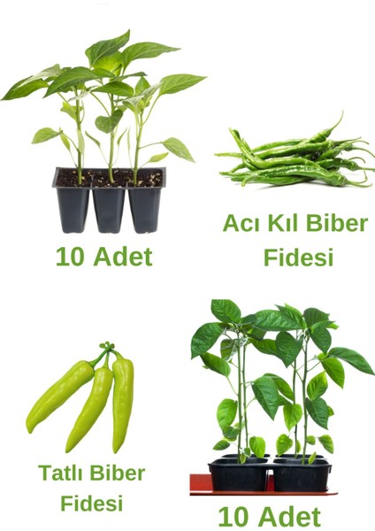 Biber Seti 10 Adet Acı Kıl Biber+ 10 Adet Tatlı Biber Fidesi