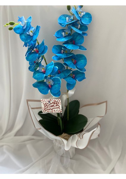 Saksıda Yapay Orkide 2 Dal Mavi Orkide,sevgiliye Hediye,anneye Hediye,masa Çiçeği,vazo Çiçeği fiyatları