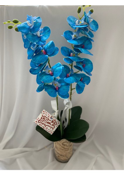 Saksıda Yapay Orkide 2 Dal Mavi Orkide,sevgiliye Hediye,anneye Hediye,masa Çiçeği,vazo Çiçeği indirimleri