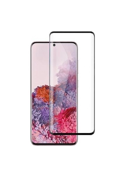 Samsung Galaxy S21 Plus Ekran Koruyucu Pet Esnek