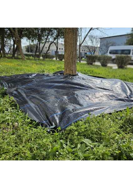 3x3 Metre Ağaç Koruma Örtüsü ve Sabitleme Çivisi Yer Örtüsü Yabani Ot Engelleme Paspası Ağaç Dibi Bezi Sulzer Kumaş