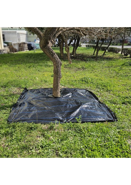 3x3 Metre Ağaç Koruma Örtüsü ve Sabitleme Çivisi Yer Örtüsü Yabani Ot Engelleme Paspası Ağaç Dibi Bezi Sulzer Kumaş