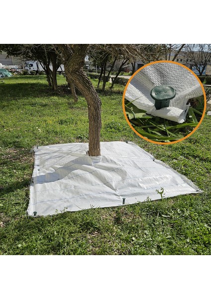 1x1 Metre Ağaç Koruma Örtüsü ve Sabitleme Çivisi Beyaz Yer Örtüsü Yabani Ot Engelleme Paspası Ağaç Dibi Bezi Sulzer Kumaş