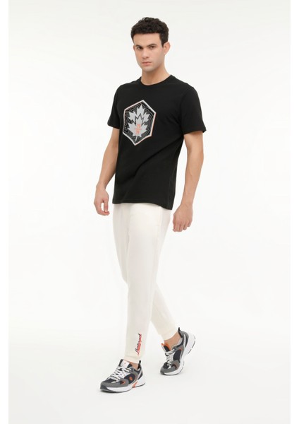 ml Alvın 22ID1005 4fx Ekru Erkek Eşofman Altı modelleri