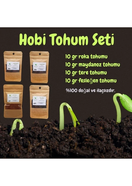 Pauls Micro Farm Hobi Tohum Seti 10GR Roka / 10GR Maydanoz / 10GR Tere / 10GR Fesleğen