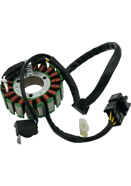 Cf Moto 250 Nk Statör