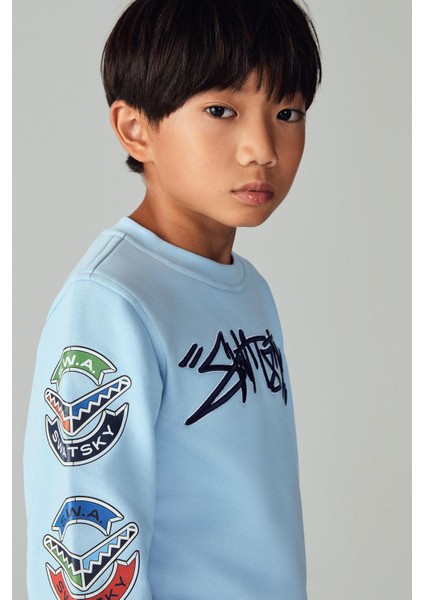Erkek Çocuk Açık Mavi Sweatshirt 23PFWSW1565 fırsatları
