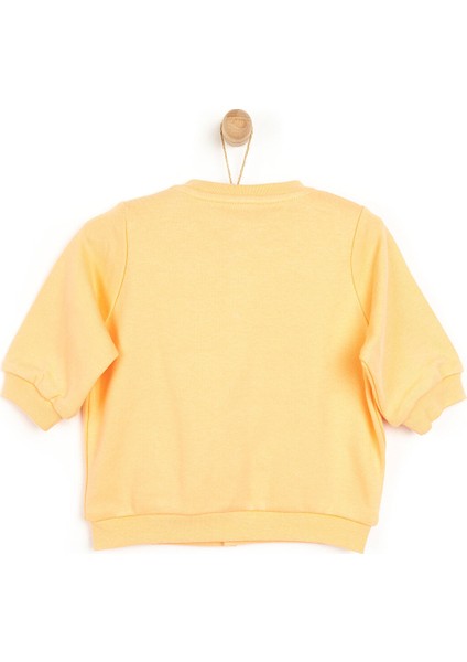 HelloBaby Basic Ribanalı Hırka Kız Bebek