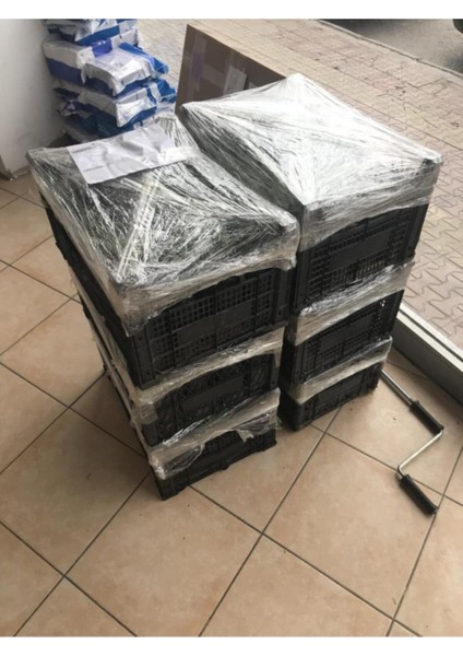 Bahçe Tipi Lavanta Fidanı 3 Adet 15-25 cm Intermedia