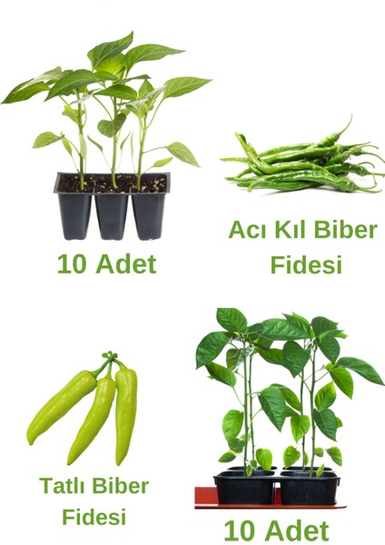 Biber Seti 10 Adet Acı Kıl Biber+ 10 Adet Tatlı Biber Fidesi
