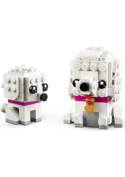 40546 Brickheadz Kaniş (304 Parça)