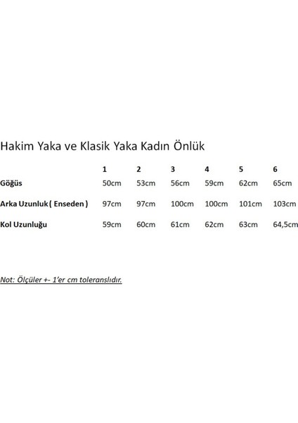 Kadın Doktor Eczacı Dişçi Veteriner Labaratuvar Hemşire Asistan Öğrenci Hakim Yaka Önlük