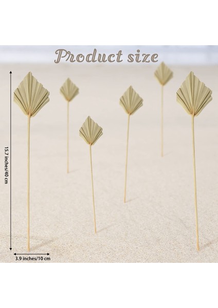 10PCS Boho Kurutulmuş Palm Spears Küçük Doğal Kurutulmuş Palmiye Fanları Dekor Yaprakları,декоративные Подарки (Yurt Dışından) modelleri
