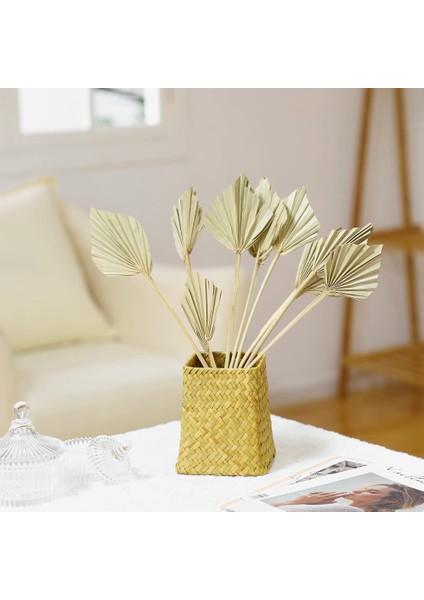 10PCS Boho Kurutulmuş Palm Spears Küçük Doğal Kurutulmuş Palmiye Fanları Dekor Yaprakları,декоративные Подарки (Yurt Dışından) fırsatları