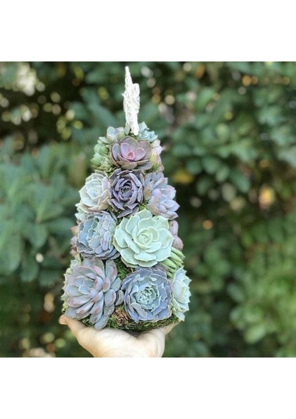 Etli Noel Ağacı Masa Üstü Mini Yılbaşı Ağacı Süsleme Bahçe Odası Dekorasyon Etli Reçine Küçük (Yurt Dışından) fiyatları