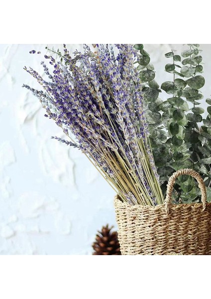 17 Inç Doğal Gerçek Okaliptüs Yaprakları Duş Dekor Ev Dekor Aromatik Lavanta Duş Tesisi (Yurt Dışından)