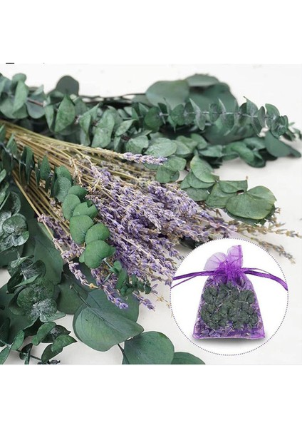 17 Inç Doğal Gerçek Okaliptüs Yaprakları Duş Dekor Ev Dekor Aromatik Lavanta Duş Tesisi (Yurt Dışından) modelleri