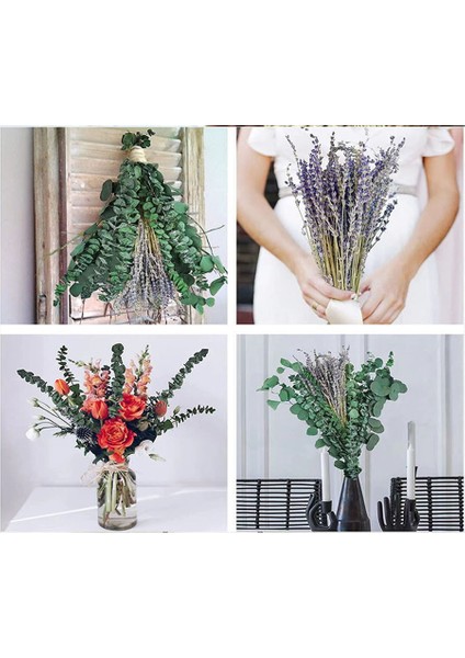 17 Inç Doğal Gerçek Okaliptüs Yaprakları Duş Dekor Ev Dekor Aromatik Lavanta Duş Tesisi (Yurt Dışından) fırsatları