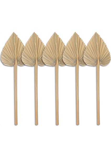 Kurutulmuş Palmiye Yaprakları Paketi 5 Kalp Oval Şekil Mızrak Düğün Evi Partisi Dekorasyon Için Kapalı Açık Durum (Yurt Dışından)