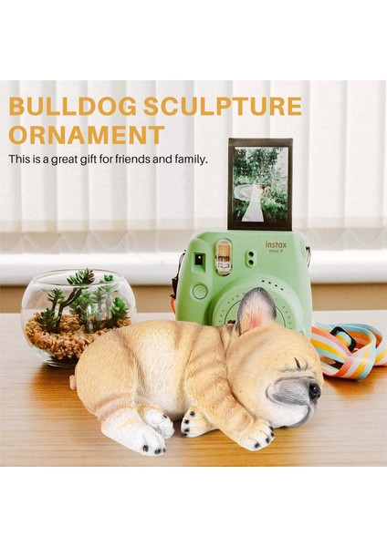 Fransız Bulldog Heykel Süs Köpek Heykeli Heykelcik Açık Bahçe Dekor Hediye-Yalan Köpek (Yurt Dışından) indirimleri