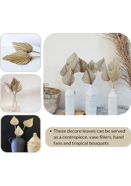 Kurutulmuş Palmiye Yaprakları Paketi 5 Kalp Oval Şekil Mızrak Düğün Evi Partisi Dekorasyon Için Kapalı Açık Durum (Yurt Dışından) fiyatları