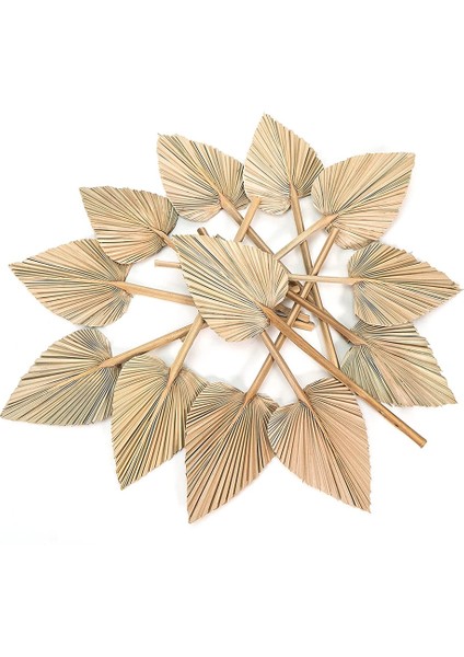 Kurutulmuş Palmiye Yaprakları Paketi 5 Kalp Oval Şekil Mızrak Düğün Evi Partisi Dekorasyon Için Kapalı Açık Durum (Yurt Dışından) modelleri