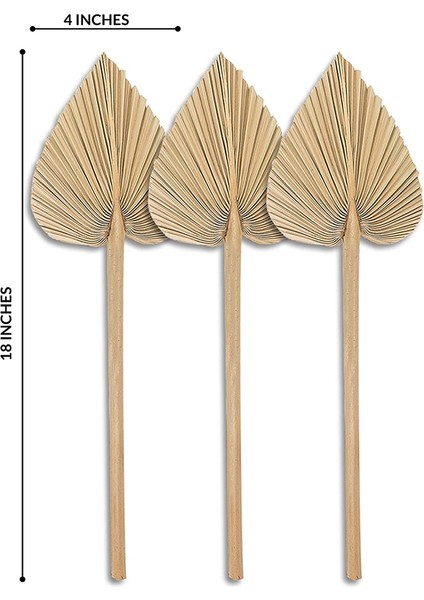 Kurutulmuş Palmiye Yaprakları Paketi 5 Kalp Oval Şekil Mızrak Düğün Evi Partisi Dekorasyon Için Kapalı Açık Durum (Yurt Dışından) fırsatları