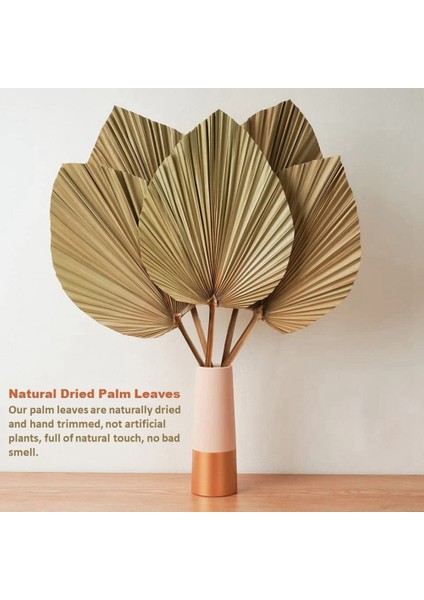 4 Parça Doğal Kurutulmuş Palmiye Yaprakları Palmiye Yaprağı Dekoru, Boho Dekoru, Ev Dekorasyonu, Düğün Için Mükemmeldir (Yurt Dışından) modelleri