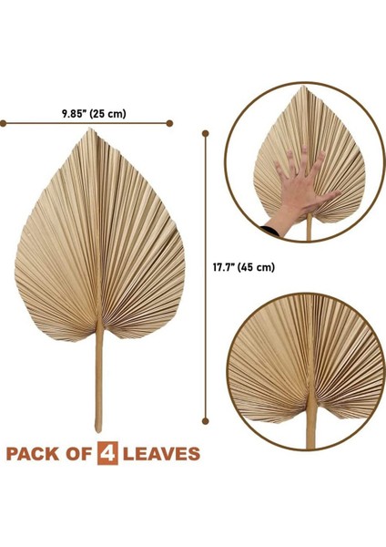 4 Parça Doğal Kurutulmuş Palmiye Yaprakları Palmiye Yaprağı Dekoru, Boho Dekoru, Ev Dekorasyonu, Düğün Için Mükemmeldir (Yurt Dışından) fırsatları