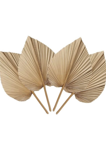 6 Adet Doğal Tropikal Kurutulmuş Palmiye Yaprakları Dekorasyon, Boho Düğünler Için Kesilmiş Palmiye Yaprakları Duvar Yatak Odası Dekorasyon,декоративные Подарки (Yurt Dışından)